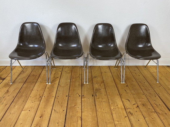 Image 1 of 4X Herman Miller Vitra Dss Fiberglass Chairs By Charles & Ray Eames In Seal Brown