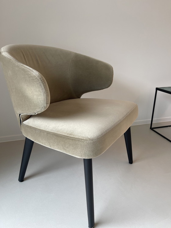 Image 1 of Fauteuil Aston Minotti