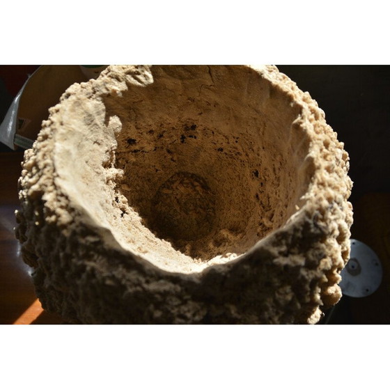 Image 1 of Spugna di mare vintage su base in legno annerito