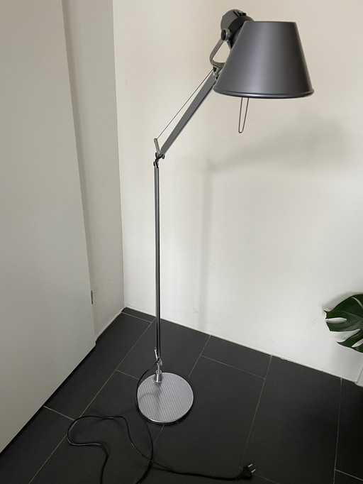 Artemide Tolomeo