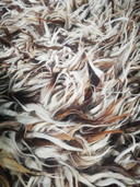 Tapis volants Tapijt