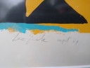 Silkscreen Lex Grote