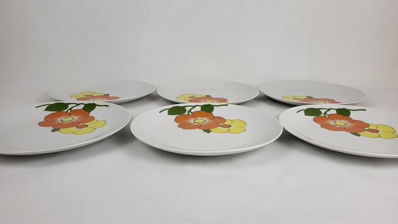 Image 1 of 6 Dinner Plates Porcelain Seltmann Weiden Bavaria