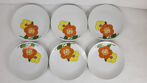 6 Dinner Plates Porcelain Seltmann Weiden Bavaria