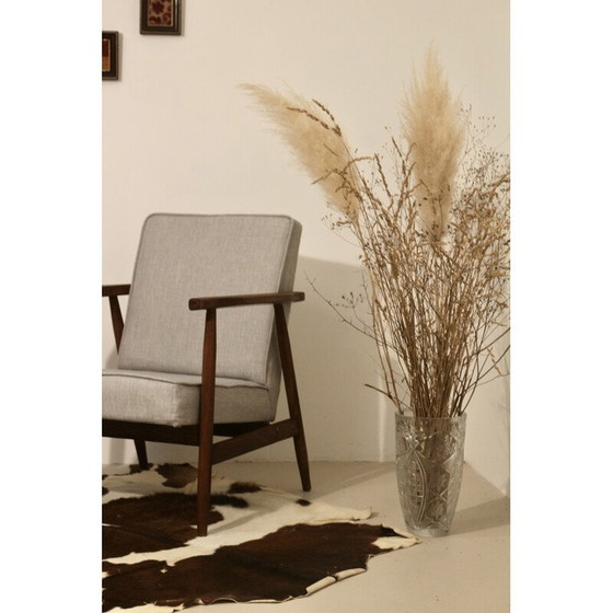 Image 1 of Vintage armchair 300-190 by Henryk Lis, 1970
