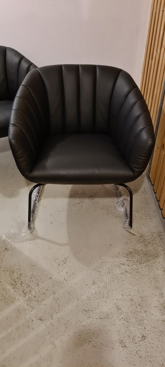 Image 1 of Signet Lenni designer/club chair leather black