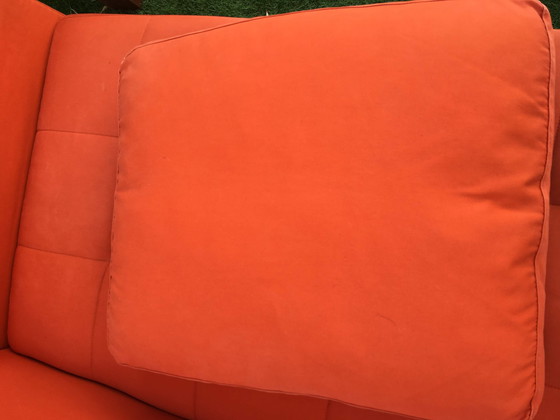 Image 1 of 3-zits Zanotta sofa