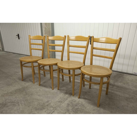 Image 1 of 4 vintage Baumann chairs model Anteuil 1986