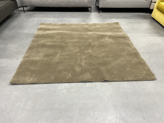 Image 1 of Brink and Campman Project Rug olive green