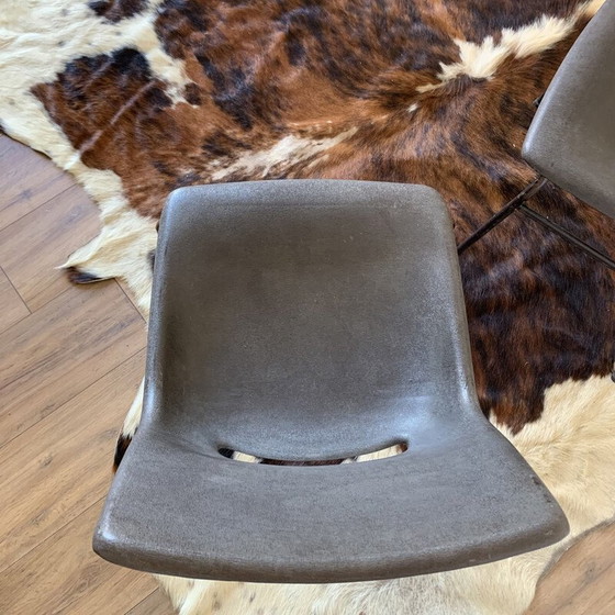 Image 1 of Set of 4 vintage plastic shell chairs by Sitting
