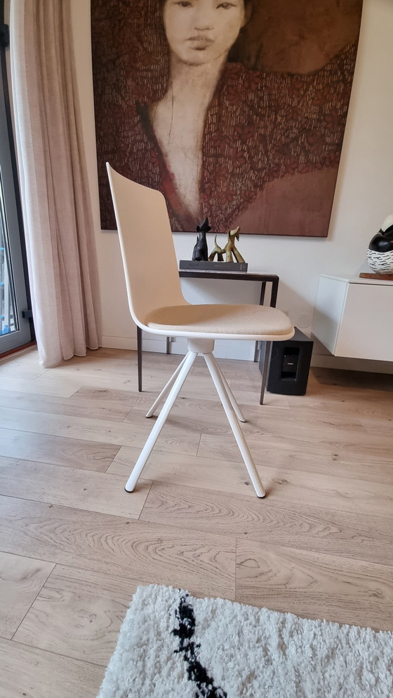 Image 1 of Dining Chair/Stool/Office Chair Lottus Enea Design