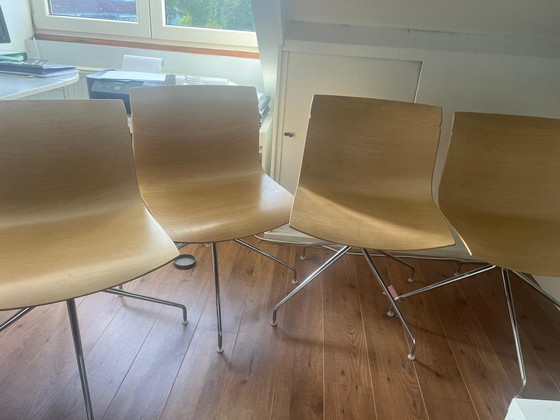 Image 1 of Arper Catifa chairs