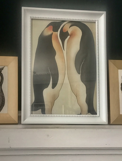 Framed Penguin Animal Illustration