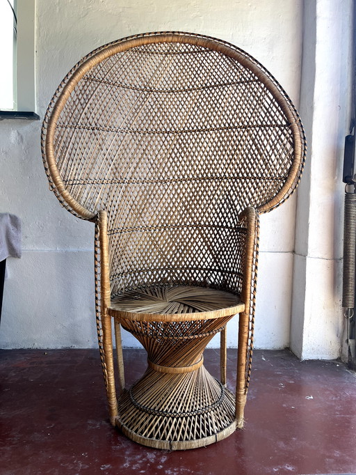 Peacock Chair