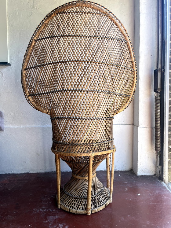 Image 1 of Peacock Chair