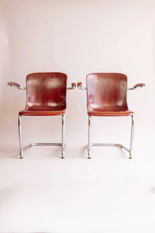 2X Pagholz Dining Chair