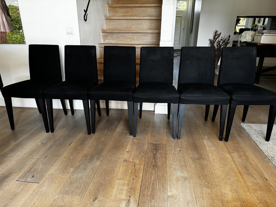 Image 1 of 6x Meridiani dining chairs