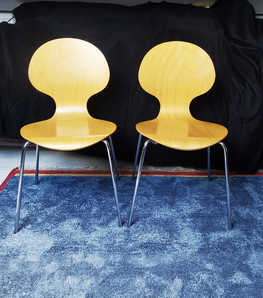 Butterfly Chair, Clear Wooden Seat, Chrome Legs