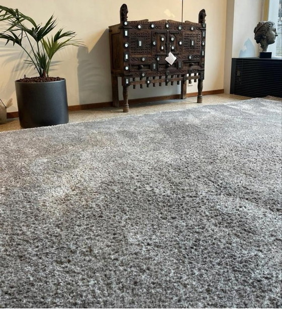 Image 1 of Leolux Amund Carpet Husky 240 X 340