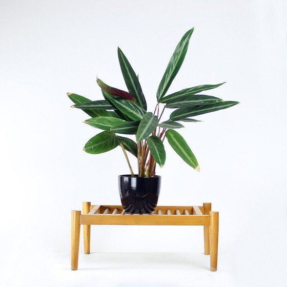 Image 1 of Vintage oak wood plant holder by Frantisek Mezulanik, Czechoslovakia 1960