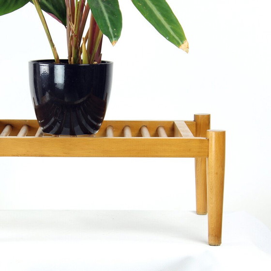 Image 1 of Vintage oak wood plant holder by Frantisek Mezulanik, Czechoslovakia 1960