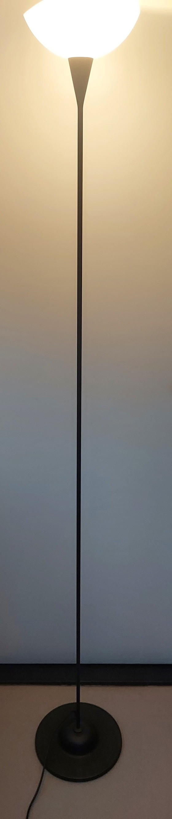 Image 1 of Artemide Veart Floor Lamp.