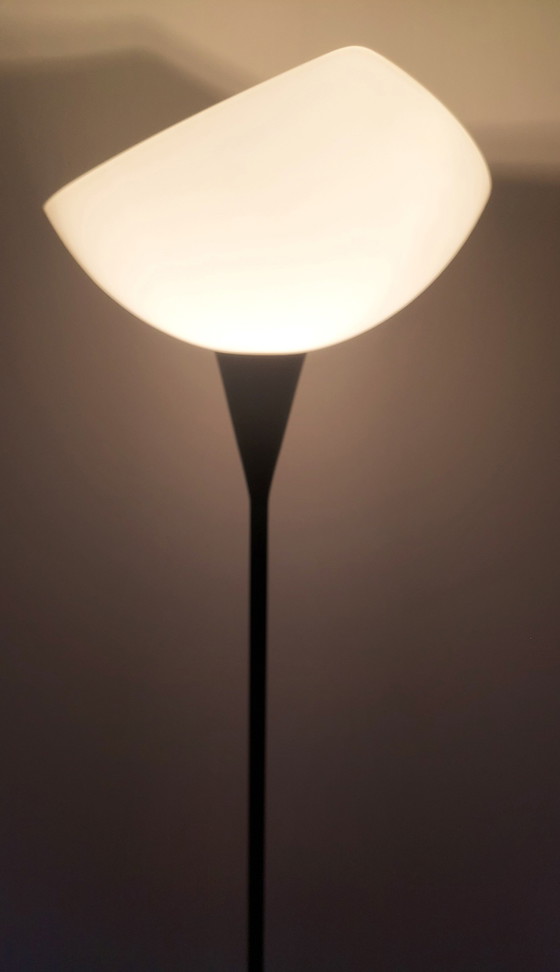 Image 1 of Artemide Veart Floor Lamp.