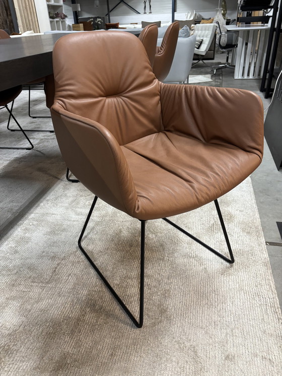Image 1 of Freifrau Leya Dining Chairs In Cognac Leather Vv Black Bottom