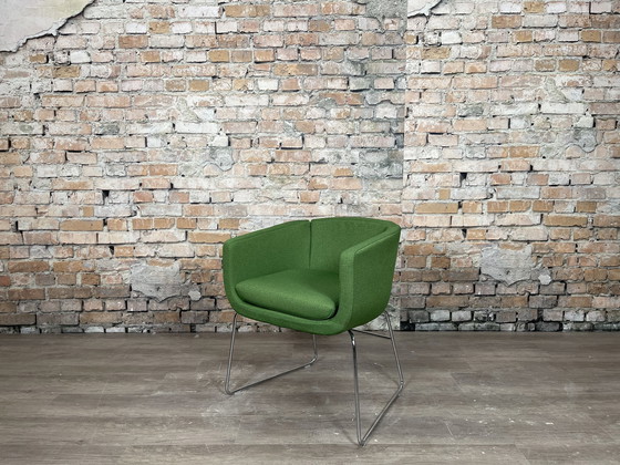 Image 1 of B&B Italia Tulip Sixty green - fauteuil