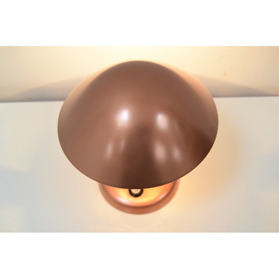 Image 1 of Vintage Bauhaus adjustable table lamp, Czechoslovakia 1930s