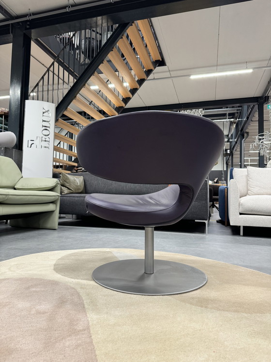 Image 1 of Varian Peel Club swivel armchair purple leather