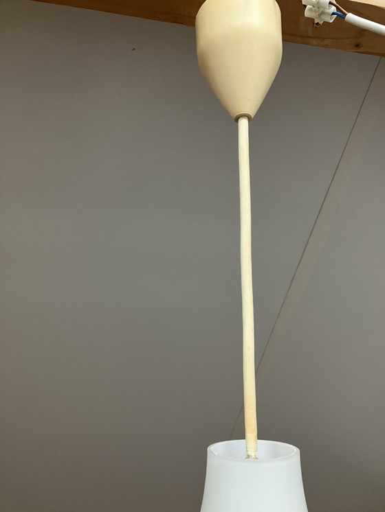 Image 1 of 2 Pieces Peill & Putzler Alfons Ganghofer Organic Pendant Lamp