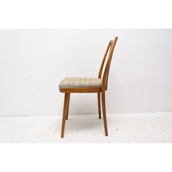 Image 1 of Juego de cuatro sillas de comedor de madera de haya de mediados de siglo, Checoslovaquia, década de 1960