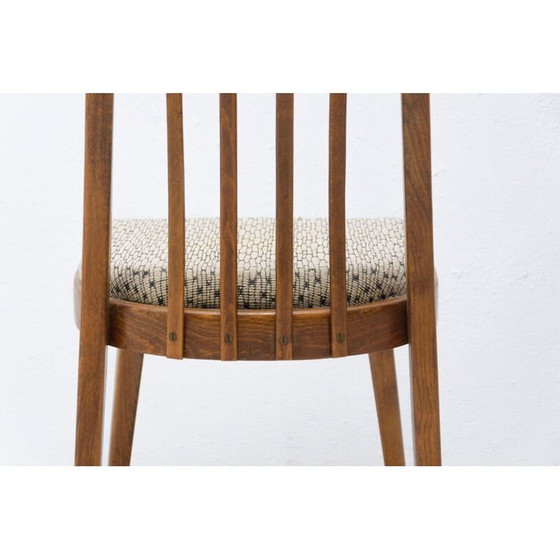Image 1 of Juego de cuatro sillas de comedor de madera de haya de mediados de siglo, Checoslovaquia, década de 1960