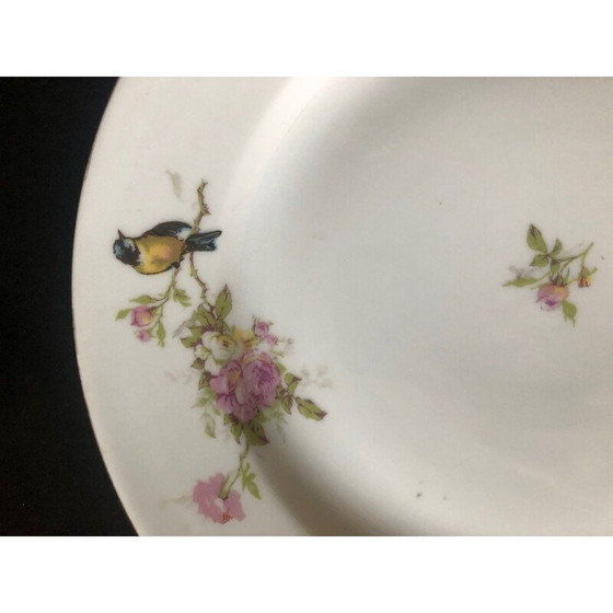 Image 1 of Set of 10 vintage porcelain bird plates, 1950
