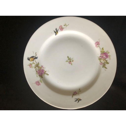 Set of 10 vintage porcelain bird plates, 1950
