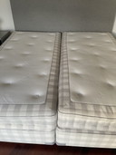 Hästens bed