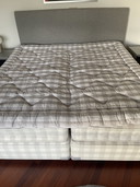 Hästens bed