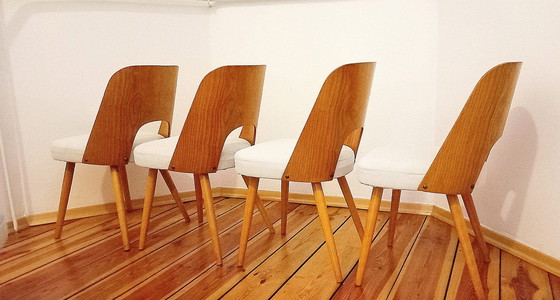 Image 1 of Czechoslovakian Chairs Attributed To O. Haerdtl For Ton, 1960S, Set Of 4