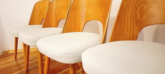 Image 1 of Czechoslovakian Chairs Attributed To O. Haerdtl For Ton, 1960S, Set Of 4