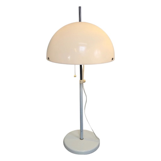 Fagerhults Skyddsform lamp