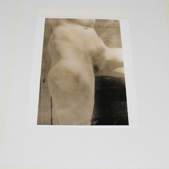 Image 1 of Robert Besanko (1951) Nude, Sepia rendered developing gelatin silver print, 1980, signed