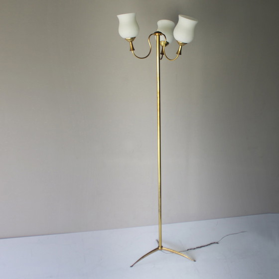 Image 1 of Arredoluce floorlamp