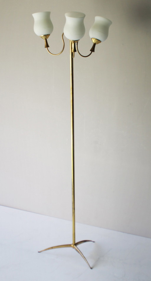 Arredoluce floorlamp