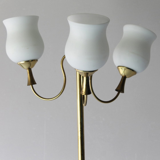 Image 1 of Arredoluce floorlamp