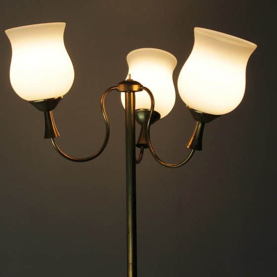 Image 1 of Arredoluce floorlamp