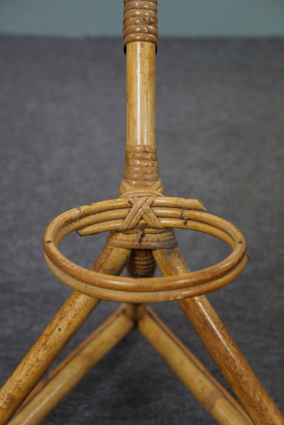 Image 1 of Vintage rattan Dutch Design Style plant stand/plant hose