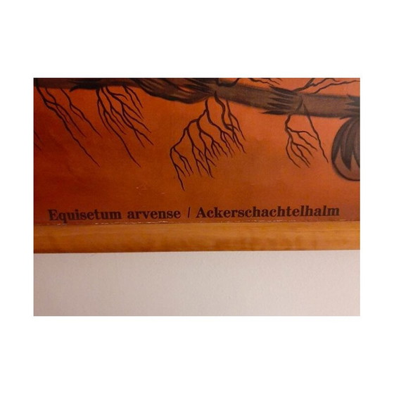 Image 1 of Vintage wooden sheep teaching board by Lehrmittelverlag Hagemann, 1960