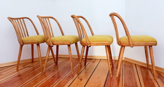 Image 1 of Dining Chairs Attributed To A. Suman For Tatra Nabytok, Czechoslovakia, 1960S, Set Of 4