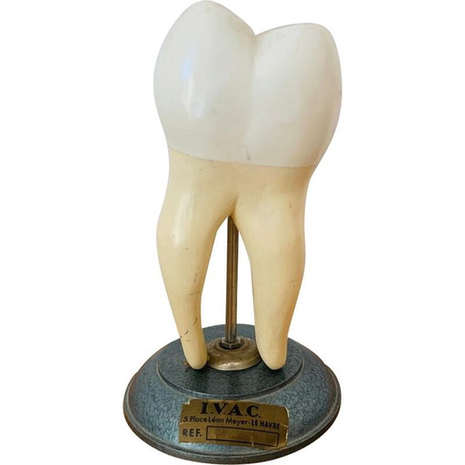 Vintage con pelle che rappresenta un dente di legno